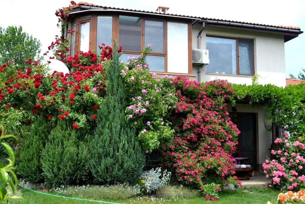 Sea & Garden Villa فارنا المظهر الخارجي الصورة
