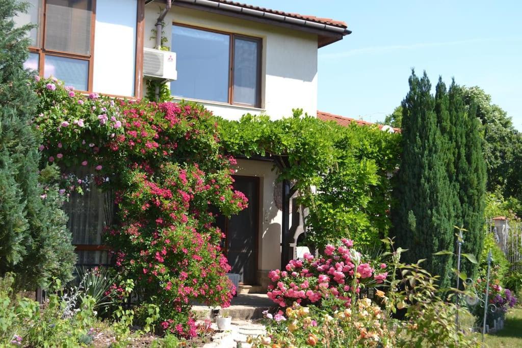 Sea & Garden Villa فارنا المظهر الخارجي الصورة