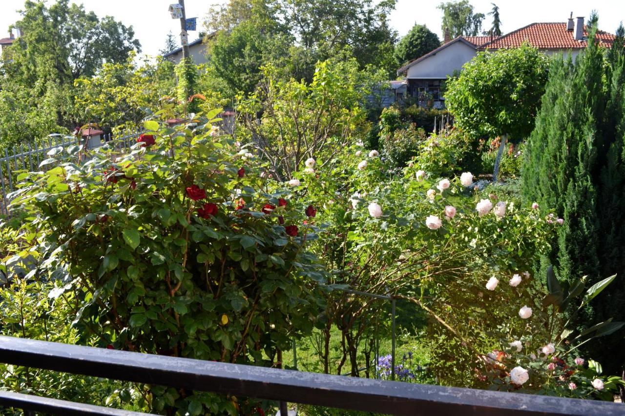 Sea & Garden Villa فارنا المظهر الخارجي الصورة