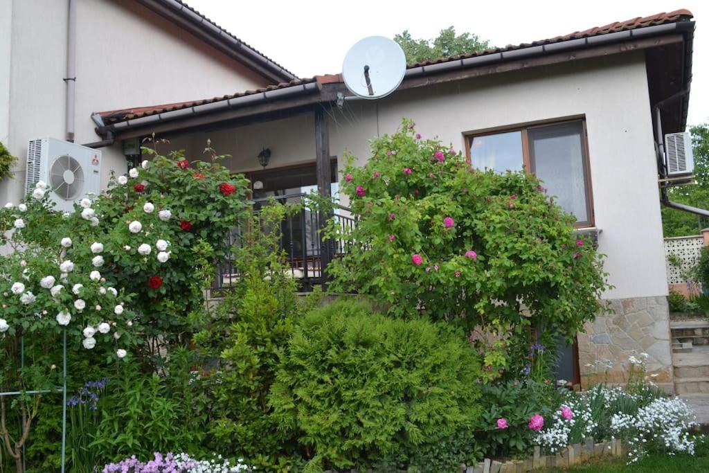Sea & Garden Villa فارنا المظهر الخارجي الصورة